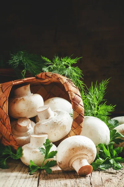 Cogumelos brancos derramam de uma cesta de vime — Fotografia de Stock