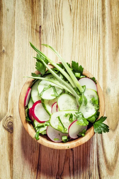 Salade de printemps aux radis, concombres, oignons verts et herbes — Photo