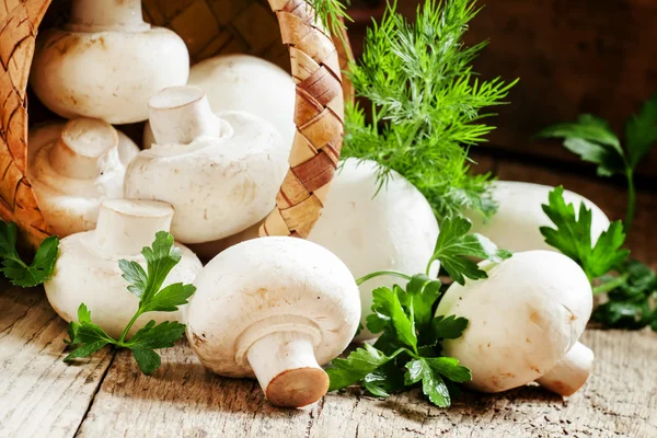 Champignons blancs se déversent d'un panier en osier — Photo