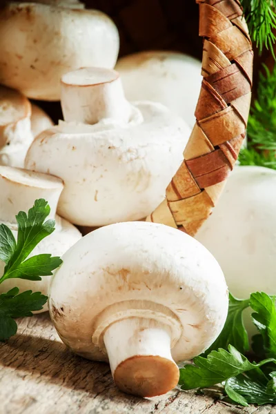 고리 버들 세공 바구니에서 흰색 버섯 유출 — 스톡 사진