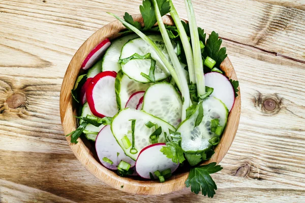 Insalata di primavera con ravanelli, cetrioli, cipolle verdi ed erbe aromatiche — Foto Stock