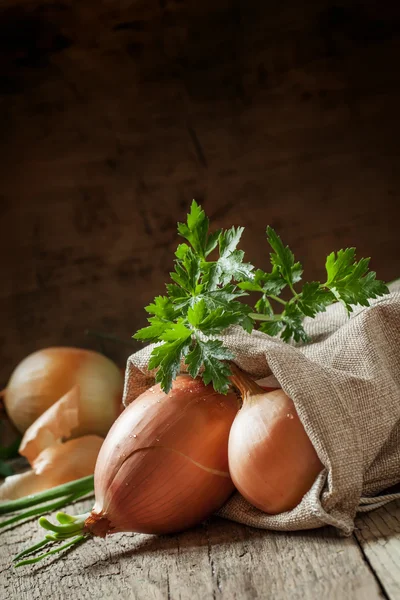 Uien in een doek zak — Stockfoto