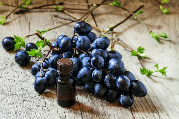 Avokádó- és szőlőmagolaj olaj - miért ilyen népszerűek?