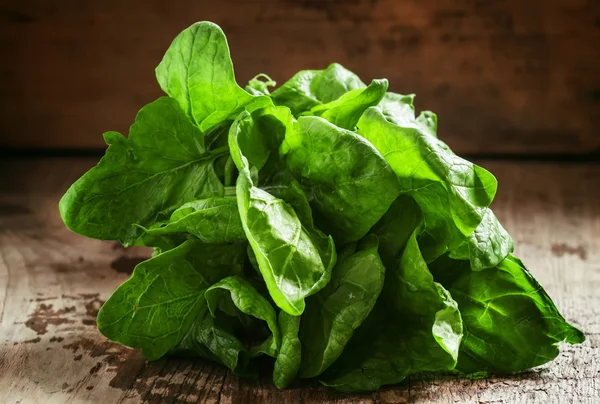 Spinaci appena raccolti — Foto Stock