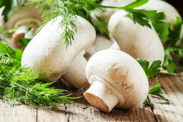 Шампиньоны из белых грибов — стоковое фото