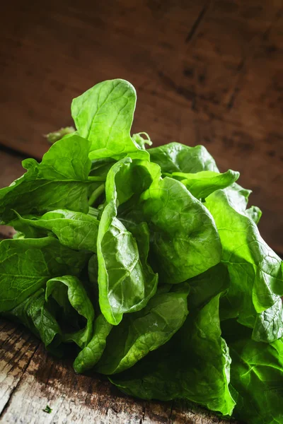 Freshly picked spinach — Stock Photo, Image