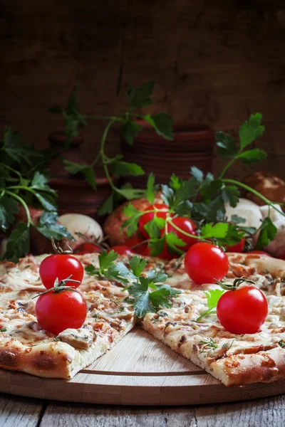 Pizza with chicken meat, tomotoes and mushrooms — Stock Photo, Image