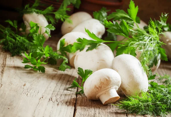White mushrooms champignons — Stock Photo, Image