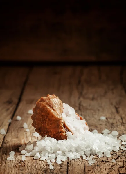 Θαλασσινό αλάτι χύνεται από ένα κοχύλι — Φωτογραφία Αρχείου