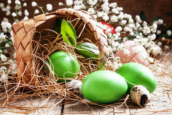 Painted green Easter eggs — Stock fotografie