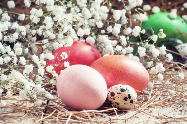 Красные и розовые пасхальные яйца и пятнистые перепелиные яйца — стоковое фото