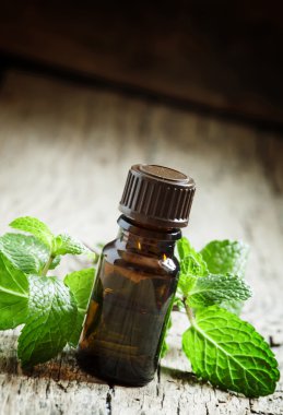 nane esansiyel yağı 