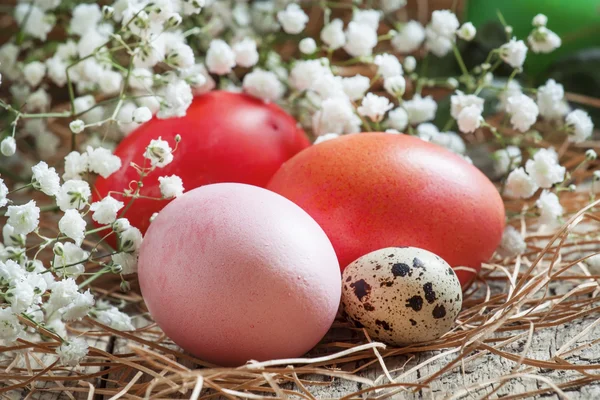 Kırmızı ve pembe Paskalya yumurtaları ve benekli bıldırcın yumurtası — Stok fotoğraf