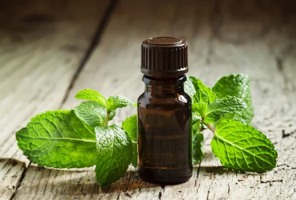 Peppermint essential oil — Stock Photo, Image