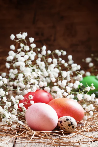 Kırmızı ve pembe Paskalya yumurtaları ve benekli bıldırcın yumurtası — Stok fotoğraf