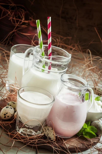 Γαλακτοκομικά προϊόντα: γάλα και γιαούρτι σε βάζα — Φωτογραφία Αρχείου