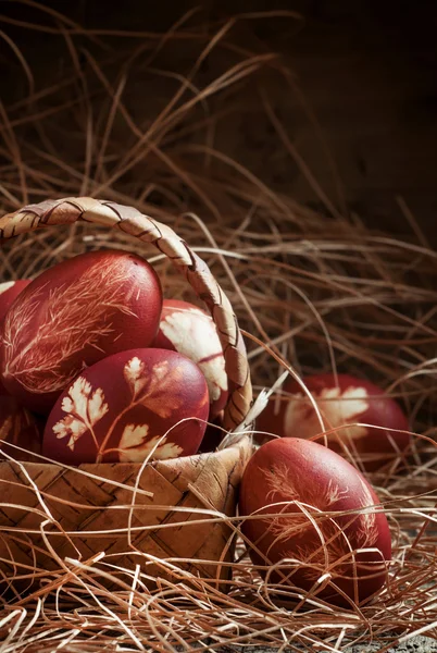 Painted brown onion peel Easter eggs — Stock fotografie