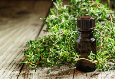 Bir şişe kekik esans  