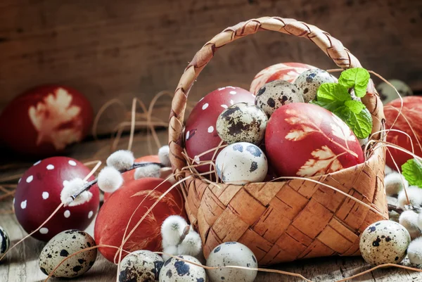 Huevos pintados y huevos de codorniz moteados en una canasta de mimbre — Foto de Stock