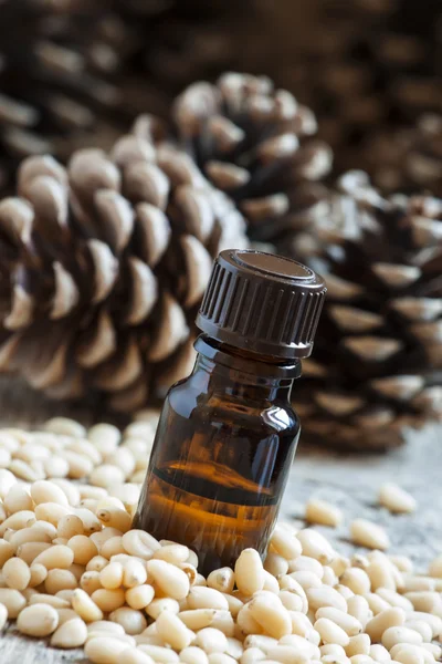 Olio essenziale di cedro in una piccola bottiglia marrone — Foto Stock