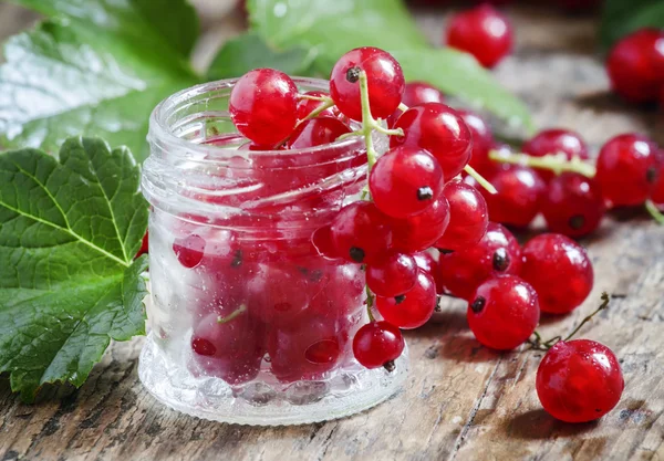 Grosellas rojas frescas con gotas de agua — Foto de Stock