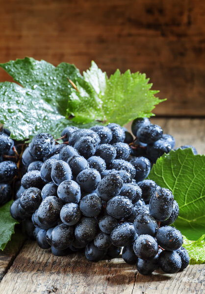 Свежий темно-синий виноград с листьями
  
