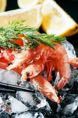Gıda düz arka plan, karides ve buz 