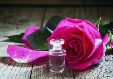 Rose essential oil in a small bottle and pink rose clipart