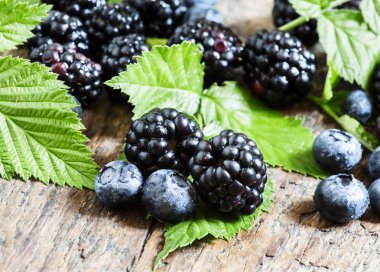 Taze yaban mersini ve böğürtlen yeşil yaprakları ile  