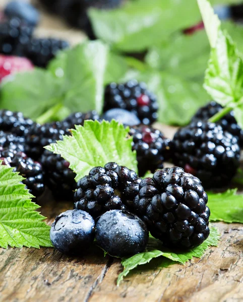 Arándanos frescos y moras con hojas verdes —  Fotos de Stock