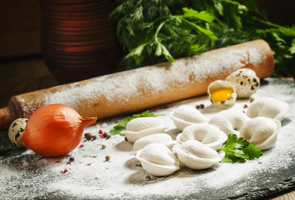 Meat dumplings, cooking illustration — Stock Photo, Image