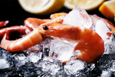 Gıda düz arka plan, karides ve buz 