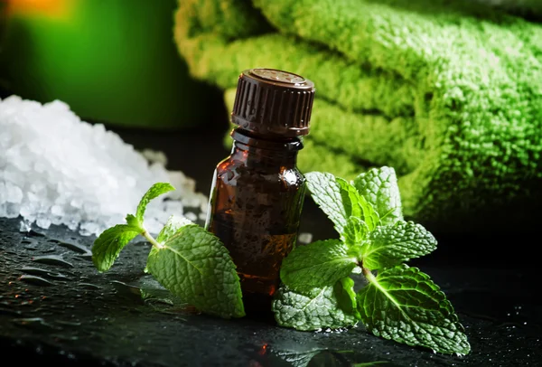 Peppermint essential oil — Stock Photo, Image