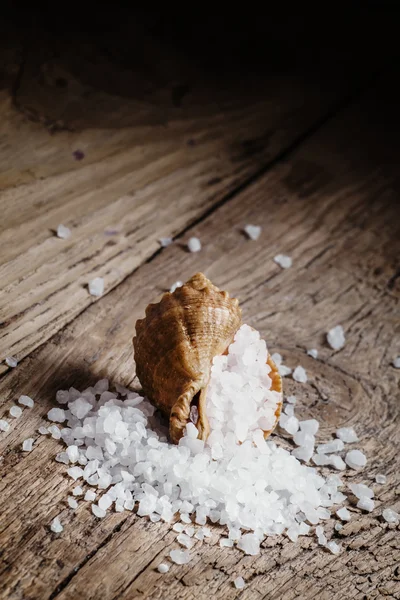 Le sel de mer est versé d'un coquillage — Photo