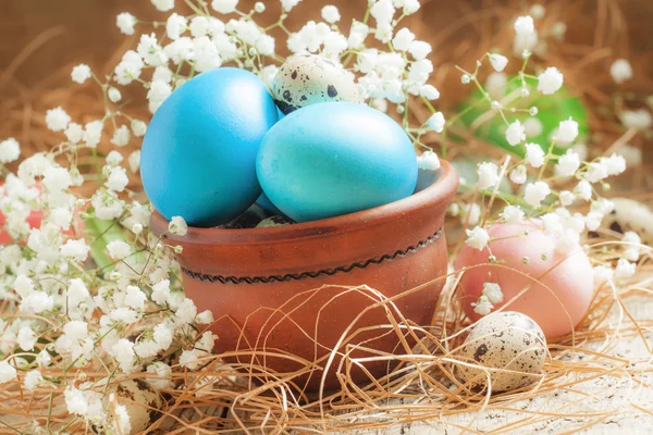 Blauw gekleurde paaseieren en kwarteleieren — Stockfoto