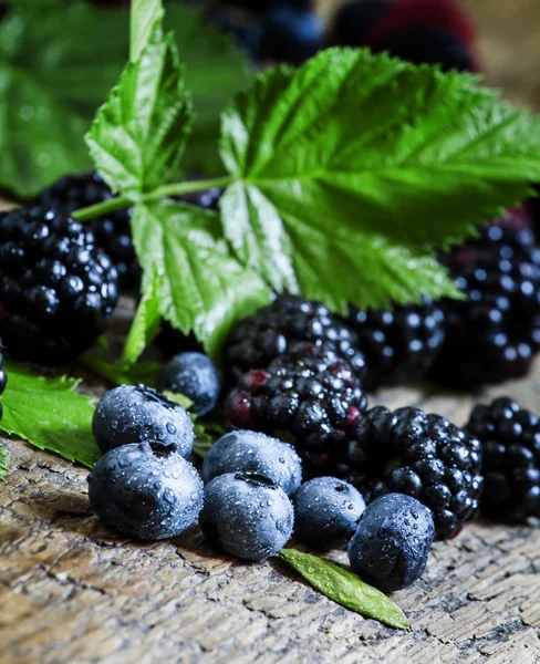 Arándanos frescos y moras con hojas verdes —  Fotos de Stock