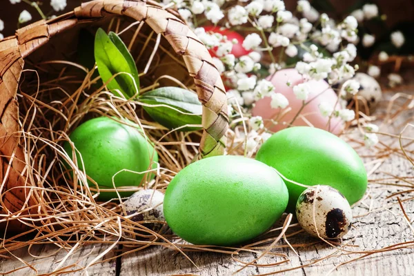 Painted green Easter eggs — Stock fotografie