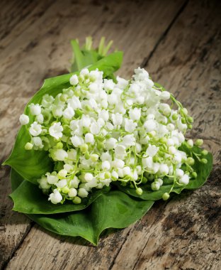 Bahar zambaklar vadi