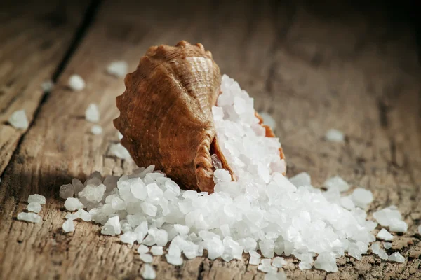 Meersalz wird aus einer Muschel gegossen — Stockfoto