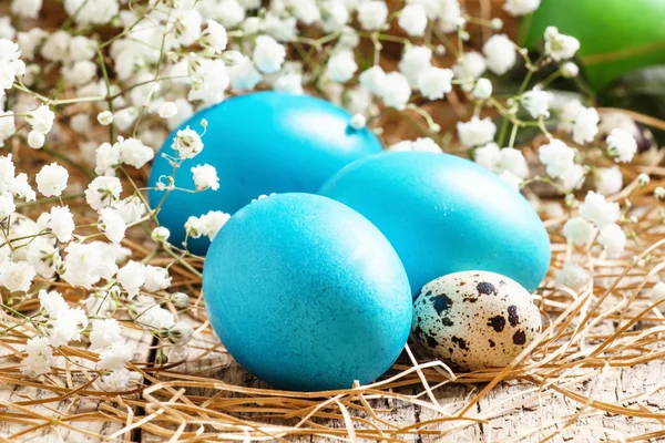 Синие окрашенные пасхальные яйца и перепелиные яйца — стоковое фото