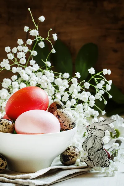 Paskalya yumurtaları ve bıldırcın yumurtası beyaz porselen kase boyalı — Stok fotoğraf