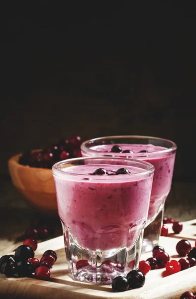 Mjölk-Berry smoothie med tranbär, svarta vinbär och röda vinbär — Stockfoto