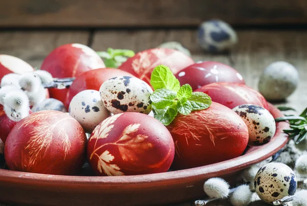Bir desen ile Paskalya yumurtaları, kabarık kedi söğüt dalları — Stok fotoğraf