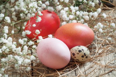 Red and pink Easter eggs and quail spotted eggs clipart
