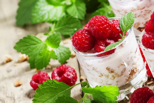 Frambuesas frescas maduras con yogur casero —  Fotos de Stock