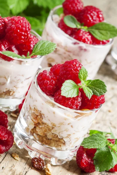 Framboesas maduras frescas com iogurte caseiro — Fotografia de Stock