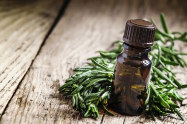 Biberiye esansiyel yağı bir küçük şişe ve taze biberiye