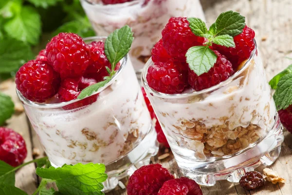 Čerstvé zralé maliny s domácí jogurt — Stock fotografie