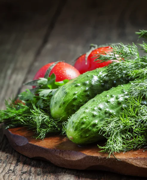 Verse komkommers, tomaten, dille en peterselie — Stockfoto