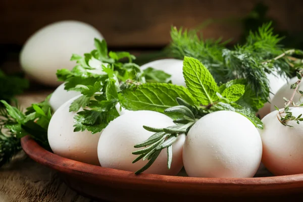 Easter eggs with a pattern of herbs — Stok fotoğraf